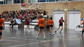 Final Balonmano FECEM -Cerbuna